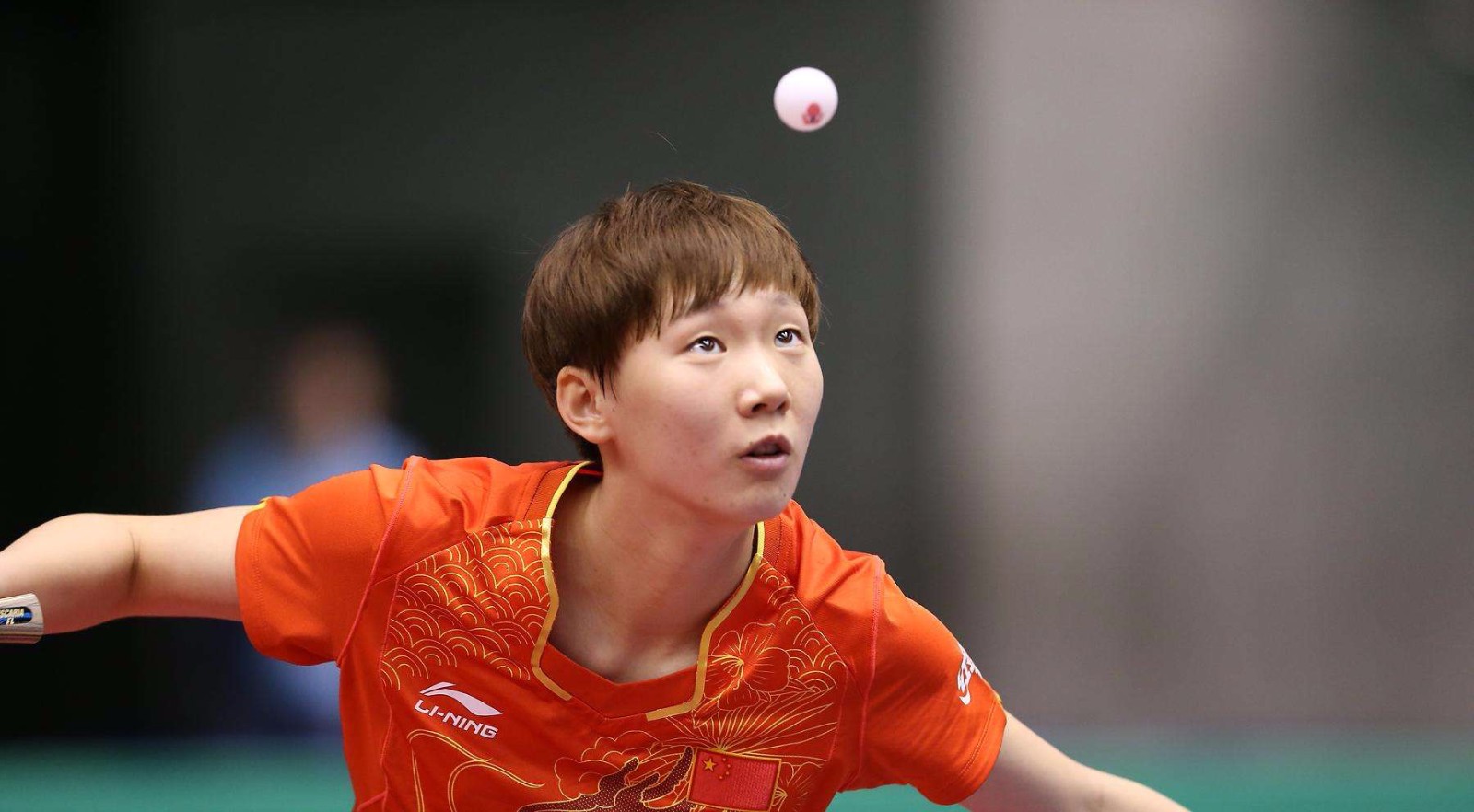 莱斯等核心 莱斯等核心