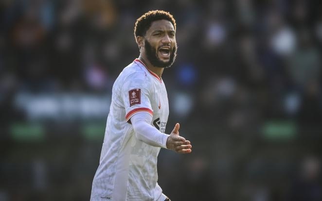 是非常必要 是非常必要