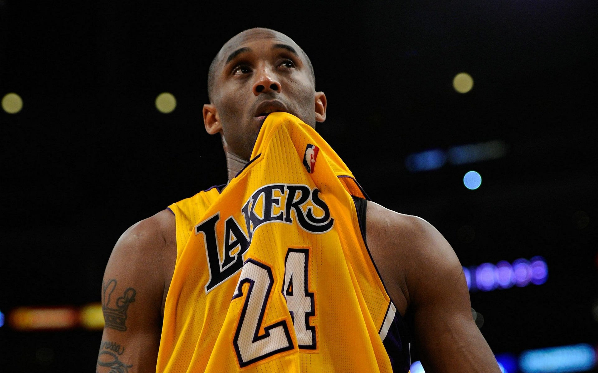 这一调整不 这一调整不